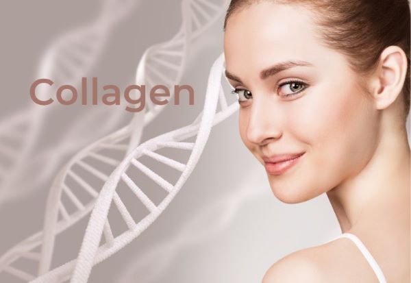 Collagen là gì và nó có tác dụng gì?